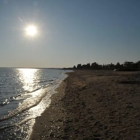 Gerani - Beach Halkidiki Сasa de vacaciones